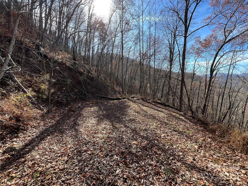 Lot 8 Falls View Dr, Bryson City, NC 28713