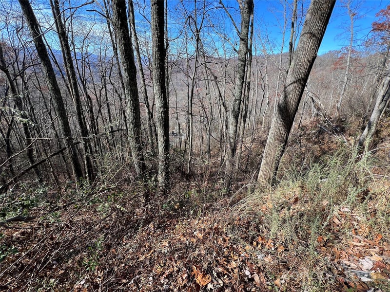 Lot 8 Falls View Dr, Bryson City, NC 28713