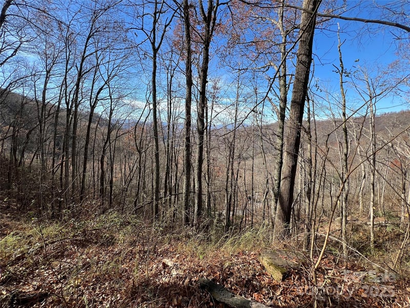 Lot 8 Falls View Dr, Bryson City, NC 28713