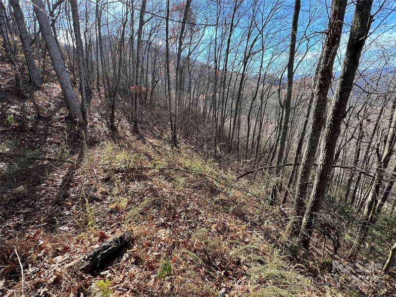 Lot 8 Falls View Dr, Bryson City, NC 28713