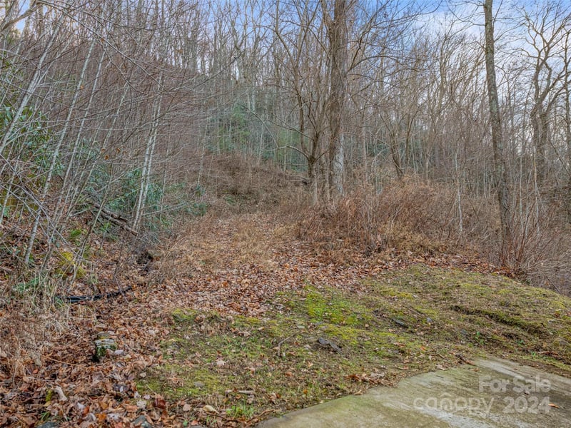 99999 Stonecrest Dr #A, B, Asheville, NC 28803