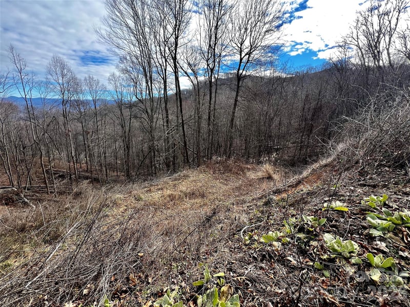 4 and 4b Salisbury Cv, Waynesville, NC 28785