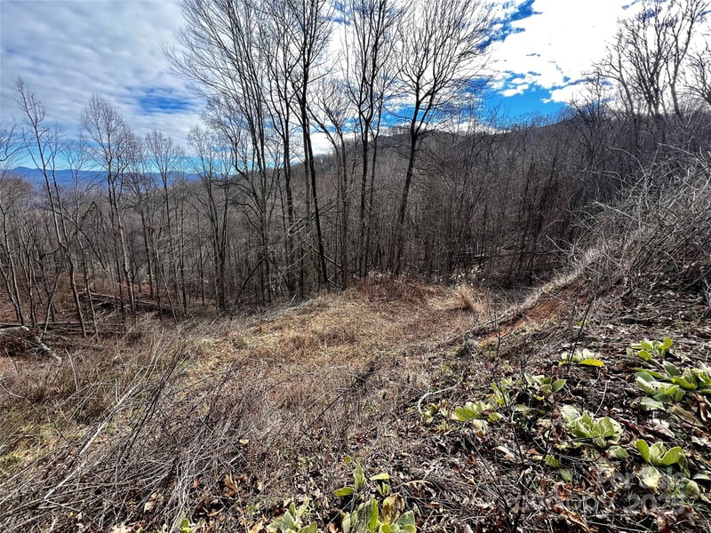 4 and 4b Salisbury Cv, Waynesville, NC 28785