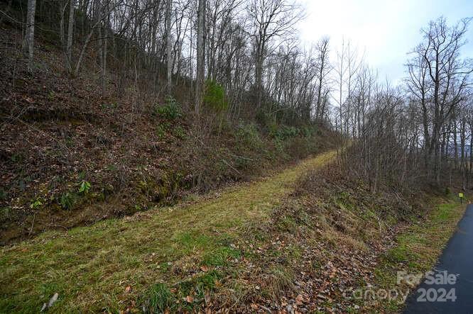 19 Flowing Hills Dr #19, 20, Clyde, NC 28721