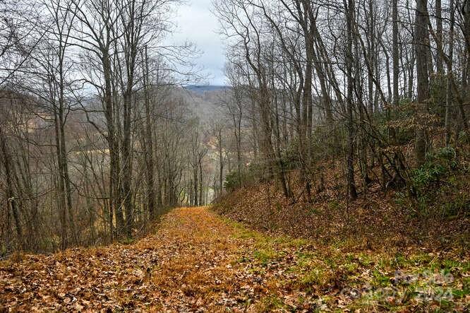 19 Flowing Hills Dr #19, 20, Clyde, NC 28721