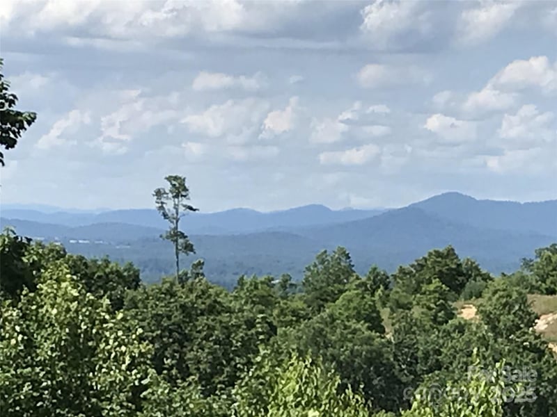 99999 Bay Laurel Ln, Hendersonville, NC 28791
