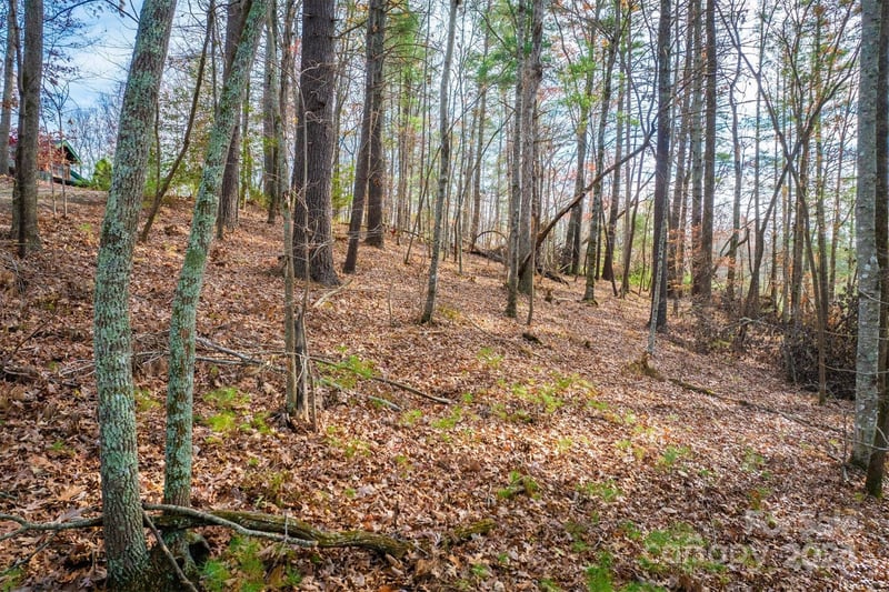 133 James Bob Stafford Dr, Nebo, NC 28601