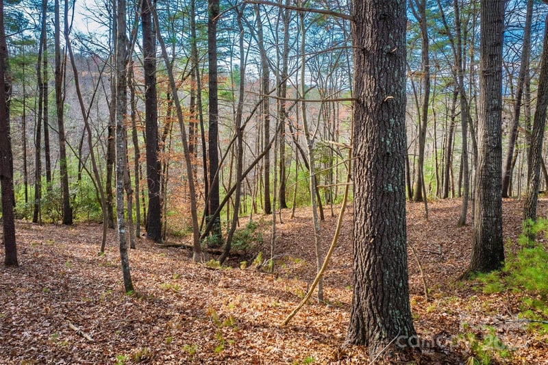 133 James Bob Stafford Dr, Nebo, NC 28601