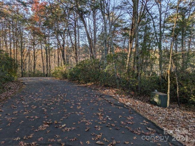 Willow Ln #59 & 60, Columbus, NC 28722