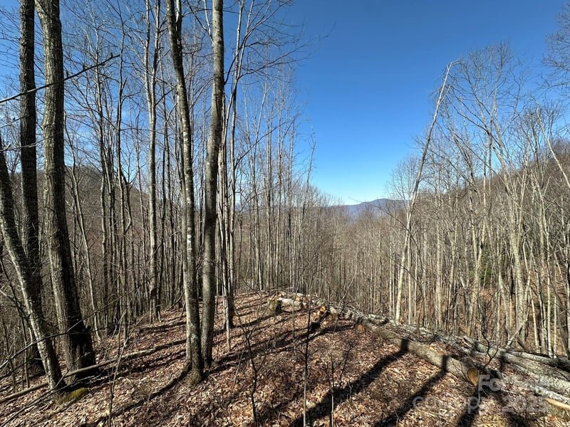 146 Clubhouse Rd #99, Sylva, NC 28779