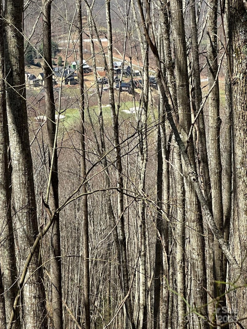 146 Clubhouse Rd #99, Sylva, NC 28779