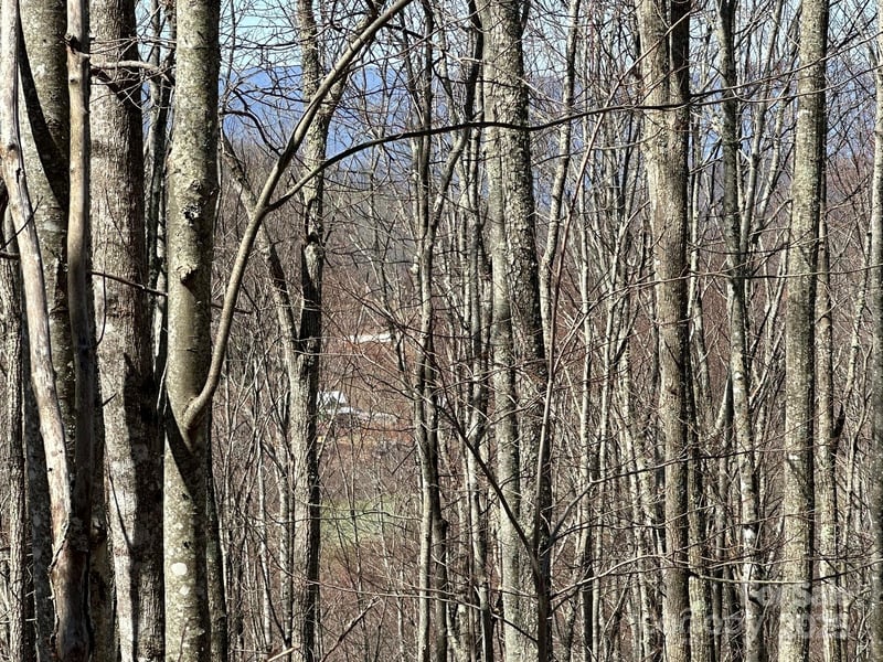 146 Clubhouse Rd #99, Sylva, NC 28779
