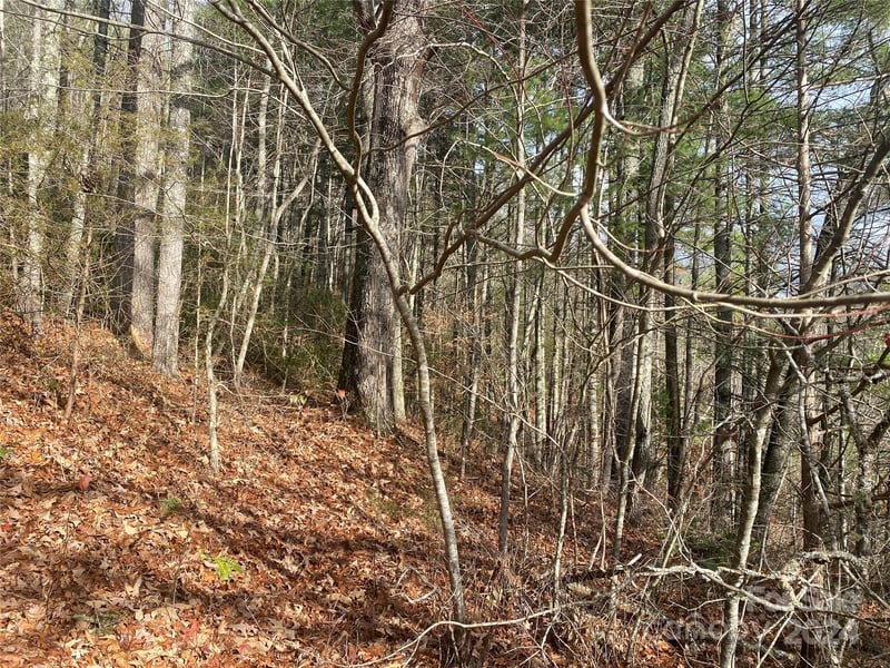 Gospel Dr, Sylva, NC 28779