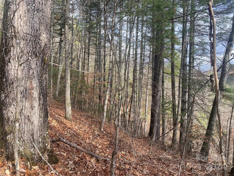 Gospel Dr, Sylva, NC 28779