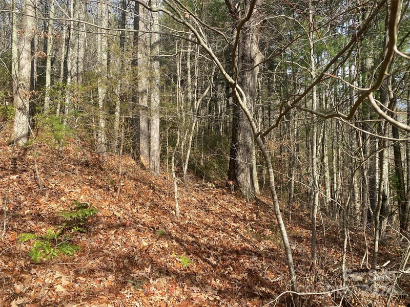 Gospel Dr, Sylva, NC 28779