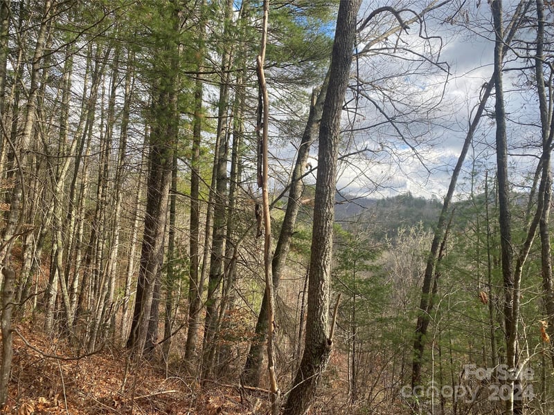 Gospel Dr, Sylva, NC 28779