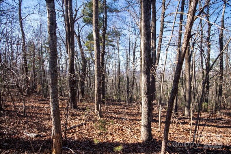 2206 Nighthawk Ridge Ct #27, Lenoir, NC 28645