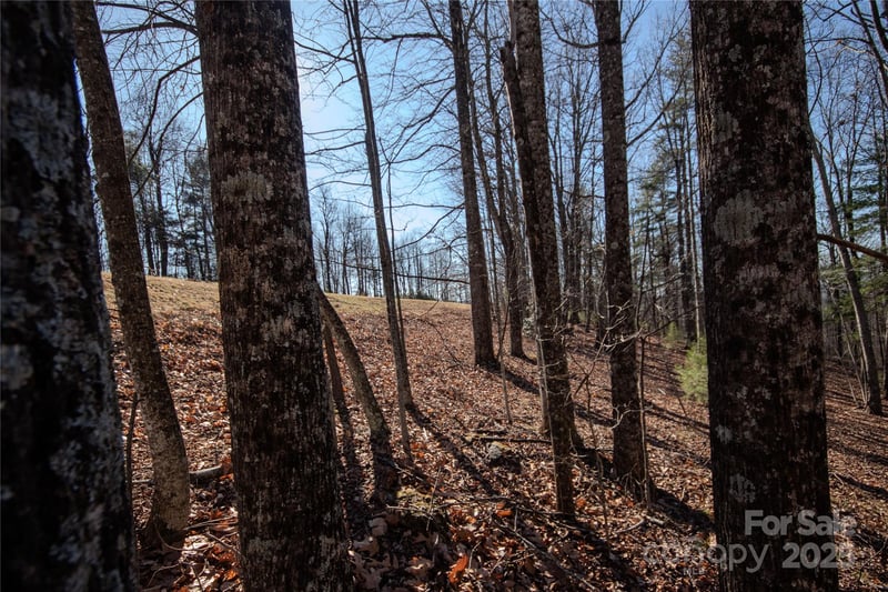 2212 Nighthawk Ridge Ct #29, Lenoir, NC 28645