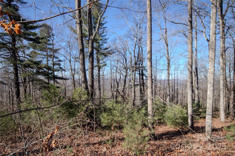 2220 Nighthawk Ridge Ct #31, Lenoir, NC 28645