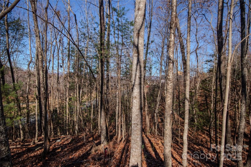 401 Huntington Woods St #28, Lenoir, NC 28645