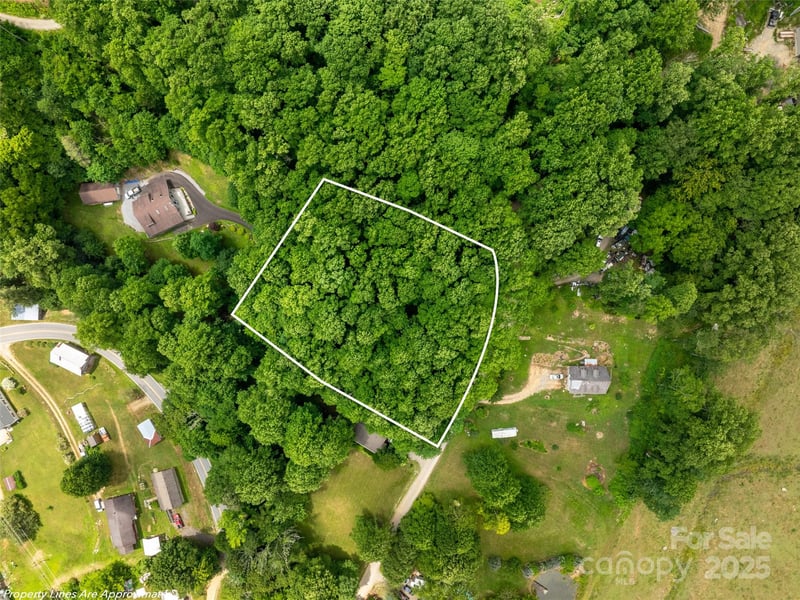 4 Roaring Creek Ln, Waynesville, NC 28785