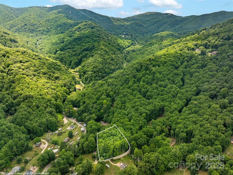 4 Roaring Creek Ln, Waynesville, NC 28785