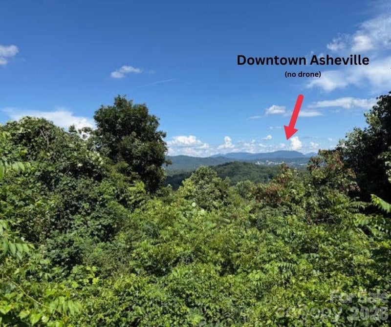 49 Ben Lippen School Rd #2/PH1A, Asheville, NC 28806
