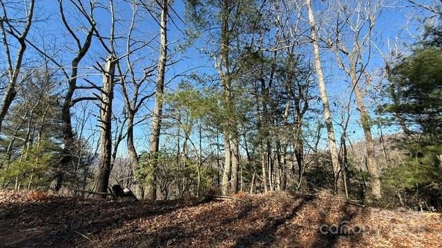 Bird Dog Blvd, Lake Lure, NC 28746
