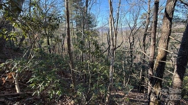Bird Dog Blvd, Lake Lure, NC 28746