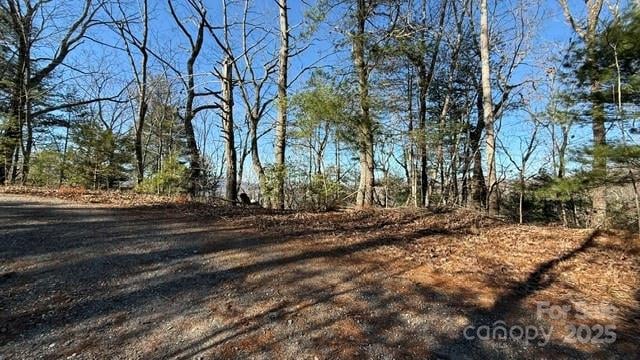 Bird Dog Blvd, Lake Lure, NC 28746