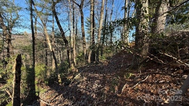 Bird Dog Blvd, Lake Lure, NC 28746