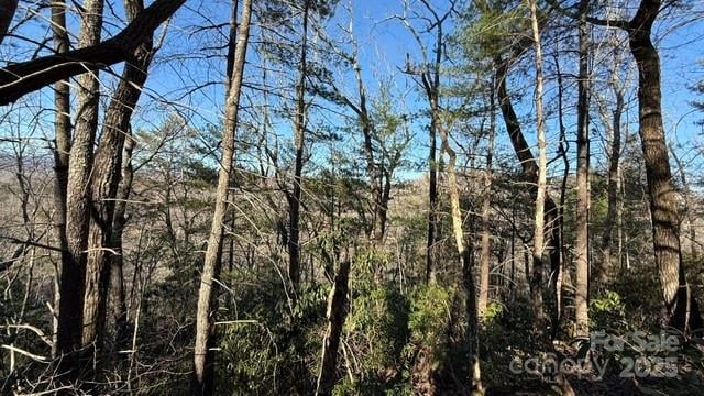 Bird Dog Blvd, Lake Lure, NC 28746