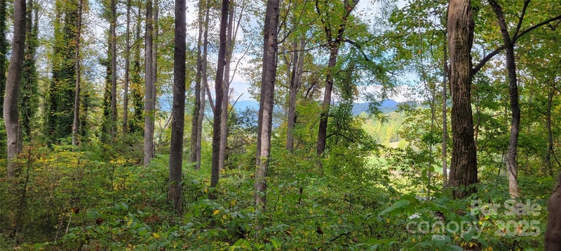 43 Dodder Ln, Cullowhee, NC 28723
