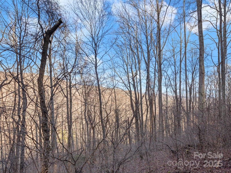 534 Kendal Dr #20, Leicester, NC 28748