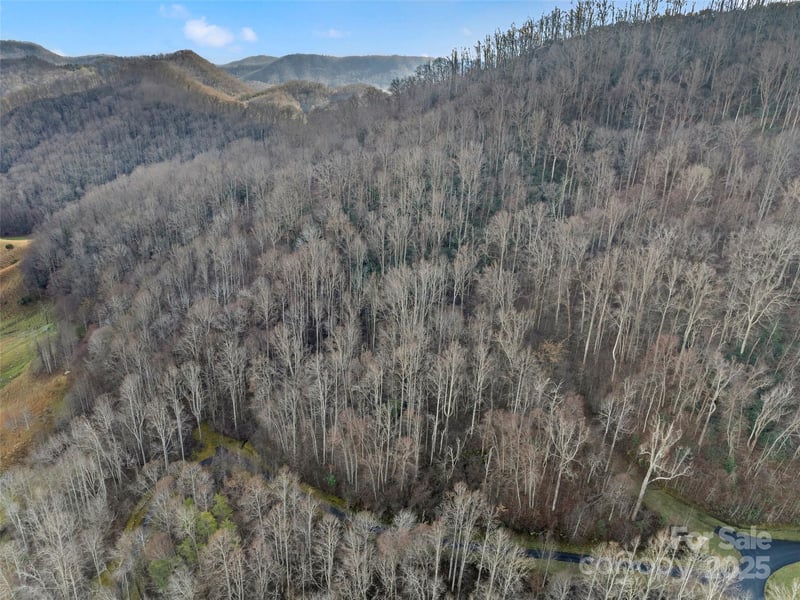 534 Kendal Dr #20, Leicester, NC 28748