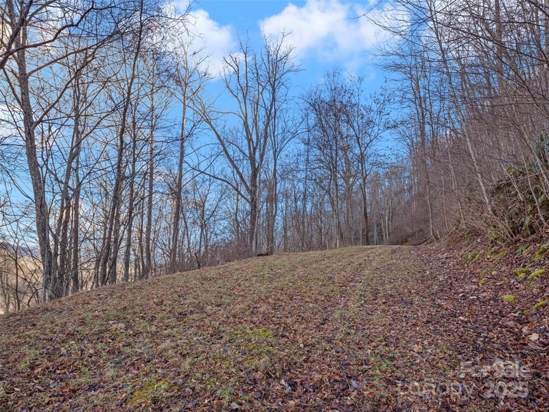 534 Kendal Dr #20, Leicester, NC 28748