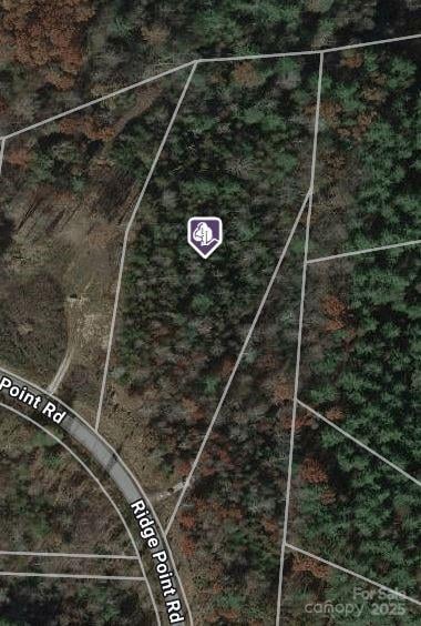 507 Ridge Point Rd, Nebo, NC 28761