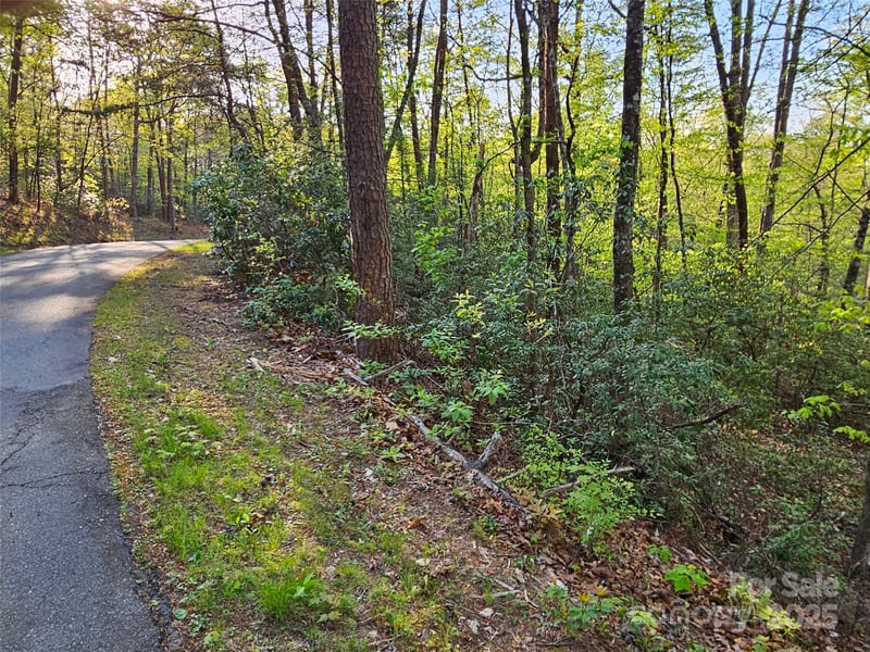 Huntington Rd #54, Lake Lure, NC 28746