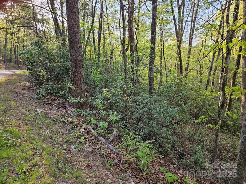 Huntington Rd #54, Lake Lure, NC 28746
