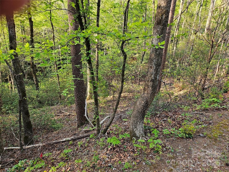 Huntington Rd #54, Lake Lure, NC 28746