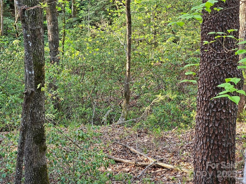 Huntington Rd #54, Lake Lure, NC 28746