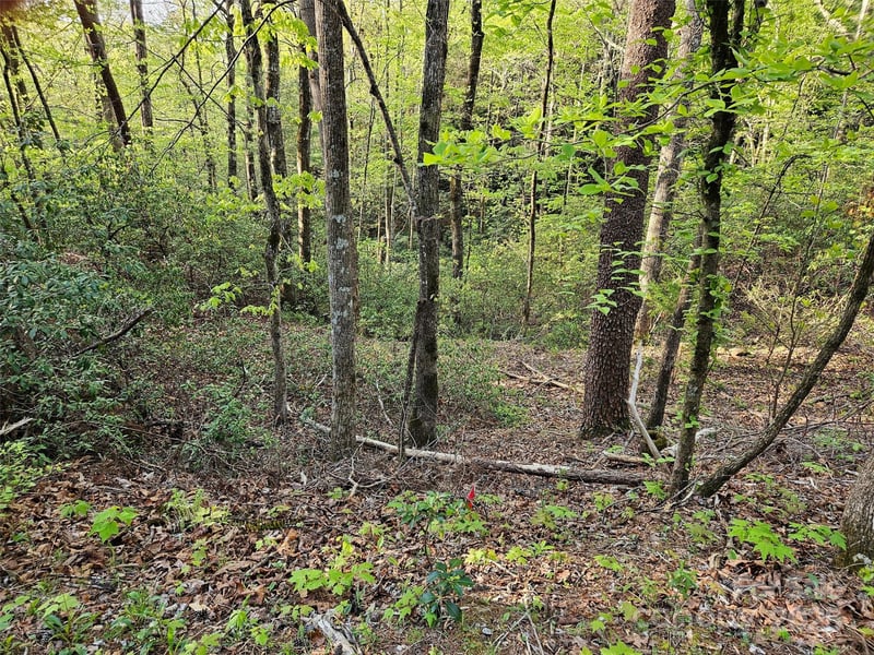 0 Huntington Rd #54, Lake Lure, NC 28746