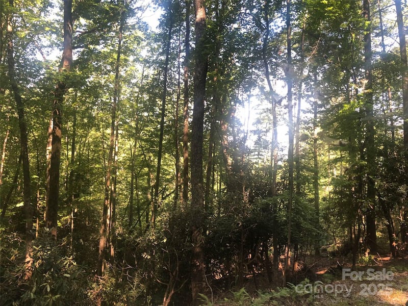 TBD Peppervine Cir #94, Rosman, NC 28772