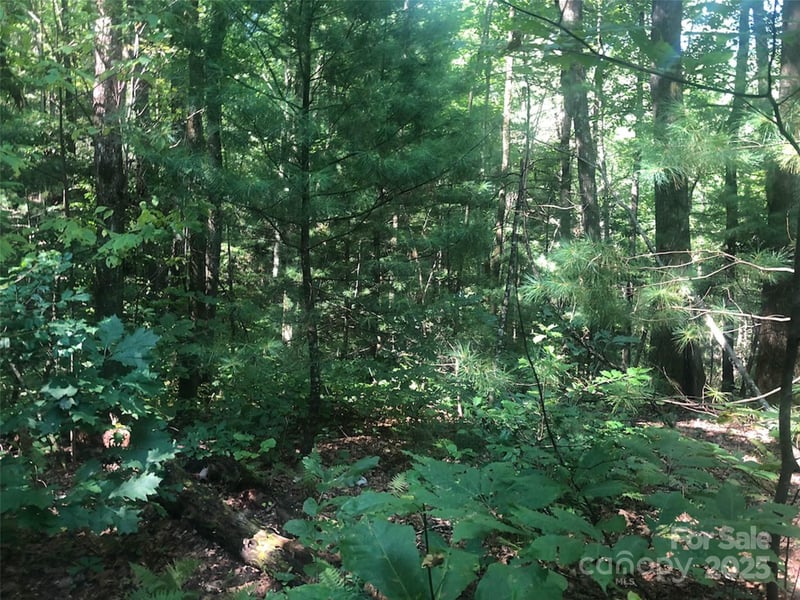 TBD Peppervine Cir #94, Rosman, NC 28772