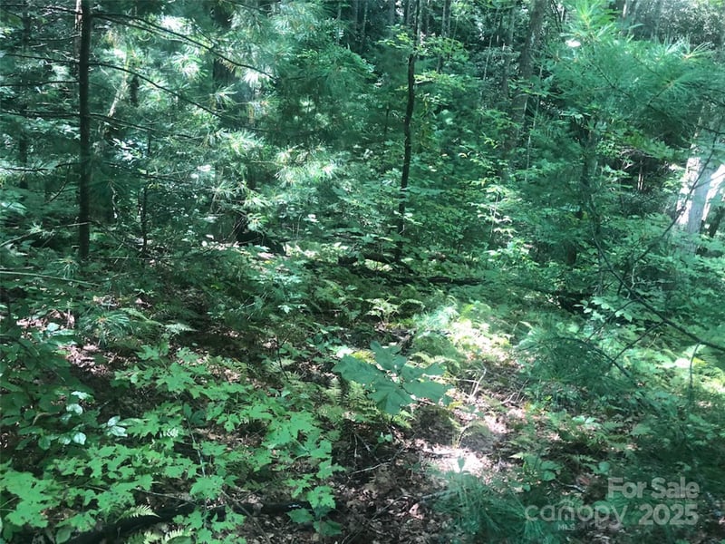 TBD Peppervine Cir #94, Rosman, NC 28772