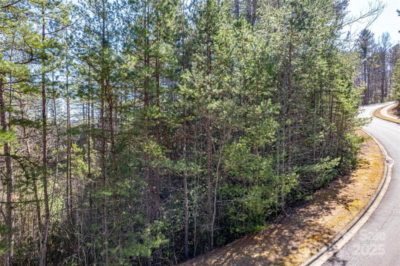 TBD Camptown Rd #M139, Brevard, NC 28712