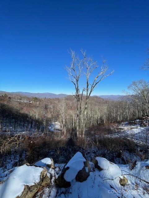 00 Wandering Trl #98, Waynesville, NC 28785