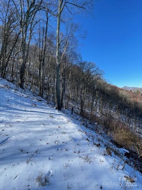 00 Wandering Trl #98, Waynesville, NC 28785
