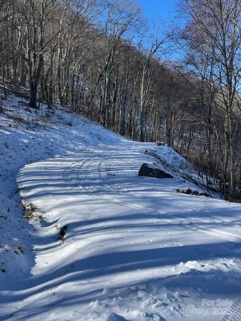 00 Wandering Trl #98, Waynesville, NC 28785