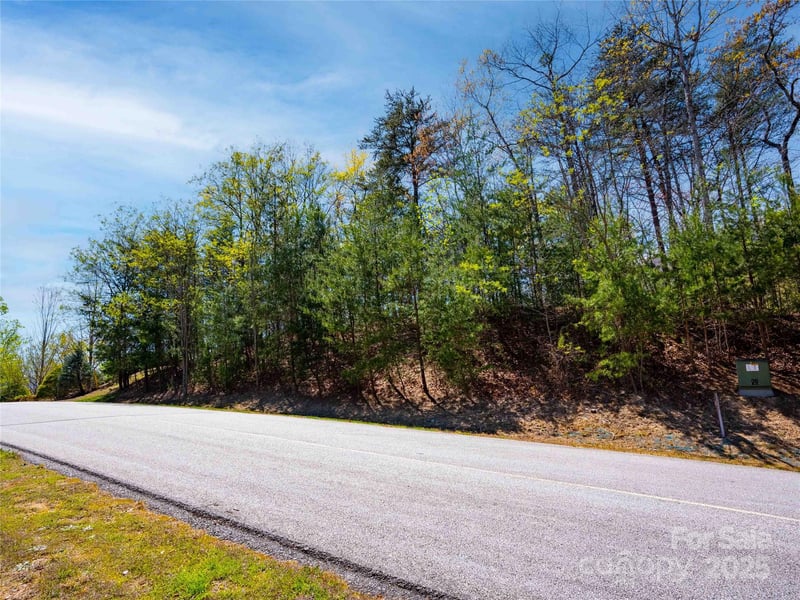 107 Deep Gap Rd, Mill Spring, NC 28756